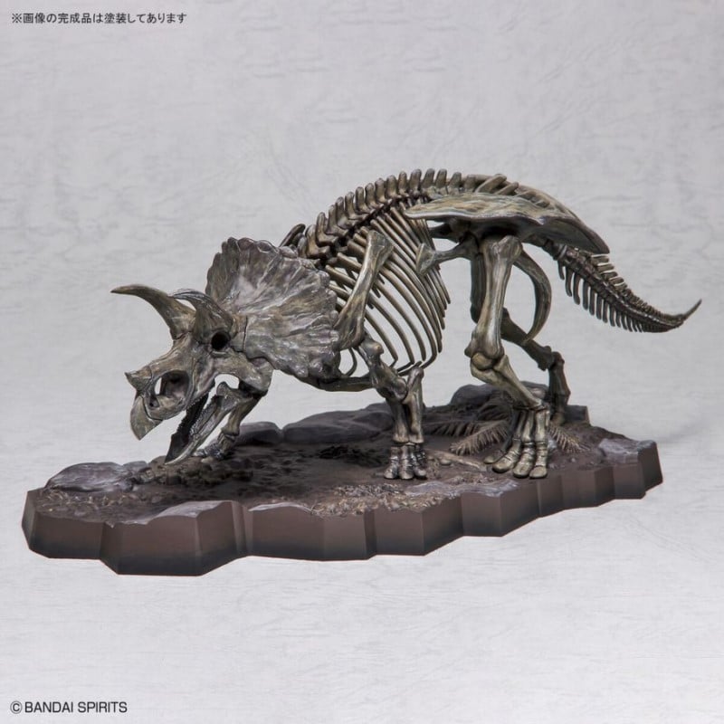 Bandai Triceratops Imaginary Skeleton 1/32 Scale